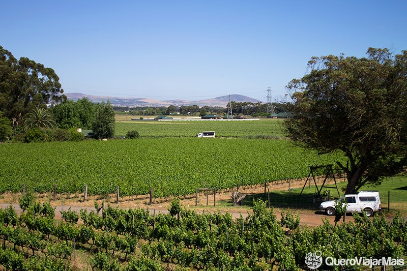 Melhores vinícolas em Cape Town