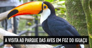 Visita ao Parque das Aves em Foz do Iguaçu: vale a pena?