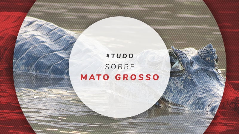 Mato Grosso