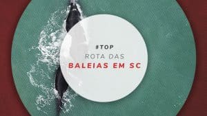 Rota da Baleia Franca SC: onde ver baleias em Santa Catarina