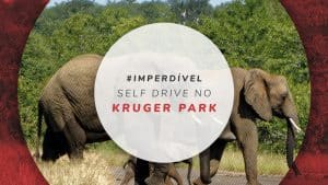 Self Drive no Kruger Park: como fazer, mapa e dicas úteis