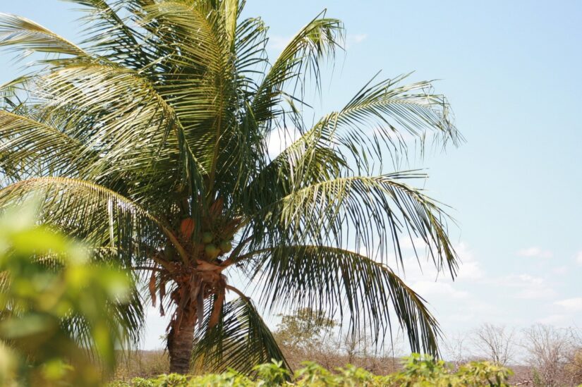 alugar veículo em Sergipe