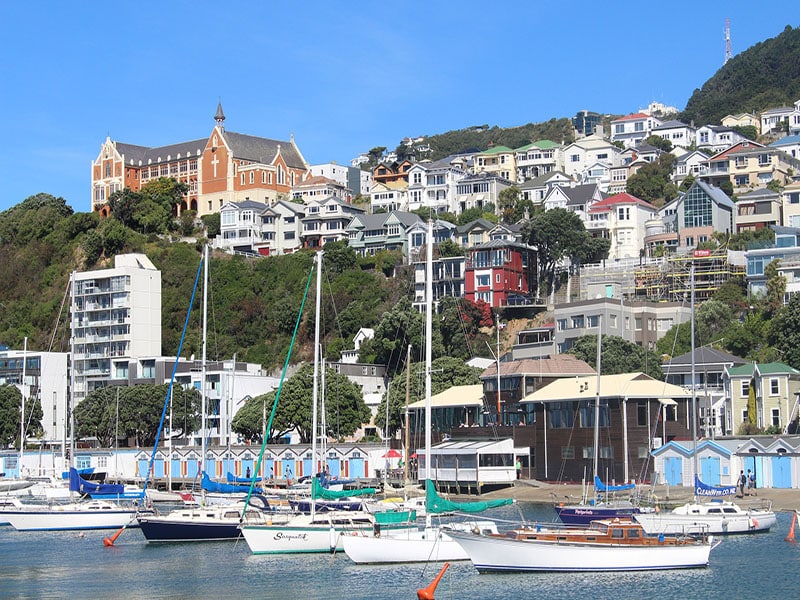 Dicas de viagem em Wellington