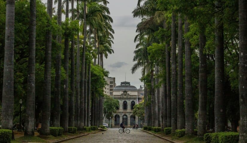 Um ciclista passa por altas palmeiras em direção a um edifício histórico sob um céu nublado, capturando o espírito do Carnaval no interior de Minas.